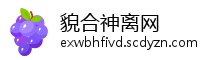 貌合神离网